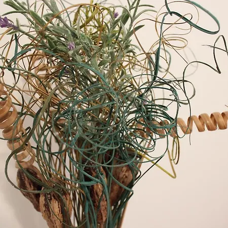 Апартаменти Penga