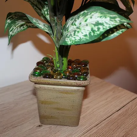 Penga Апартаменти